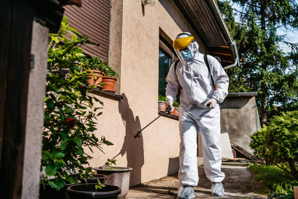 Best Best Pest Control Companies  in Bethany, WV