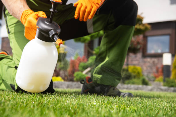Pest Prevention Services in Bethany, WV