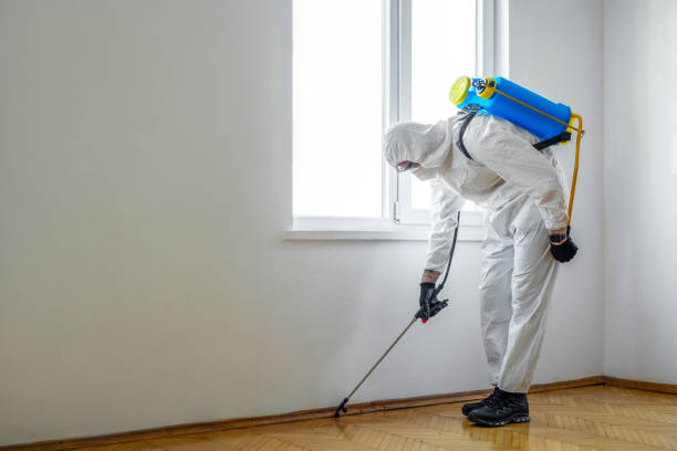 Best Best Pest Control Companies  in Bethany, WV
