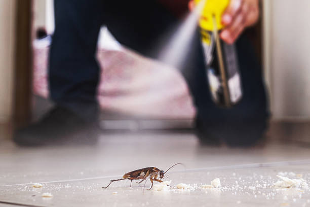 Best Mosquito Control Services  in Bethany, WV